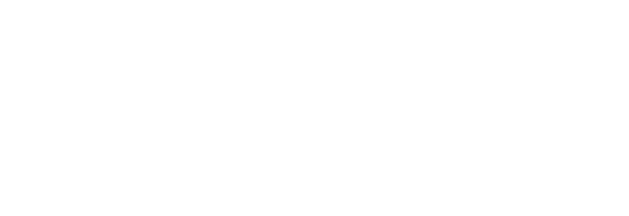 Ford logo in white